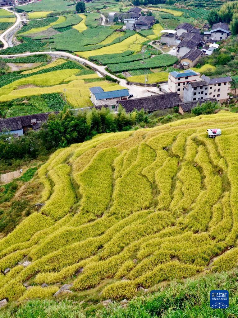 天际平台网址